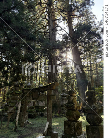 A moss-covered stone torii gate and a group of ancient stone pagodas stand in the depths of a forest. A moss-covered stone torii gate and a group of ancient stone pagodas stand in the depths of a forest. 140714171