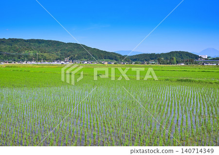 Blue sky and rice fields, rural landscape, near the Nishikata roadside station. 140714349