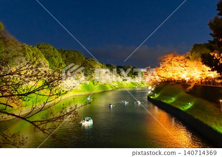 Cherry blossoms in full bloom illuminated at night in Chidorigafuchi, Tokyo. Cherry blossoms in full bloom illuminated at night in Chidorigafuchi, Tokyo. 140714369