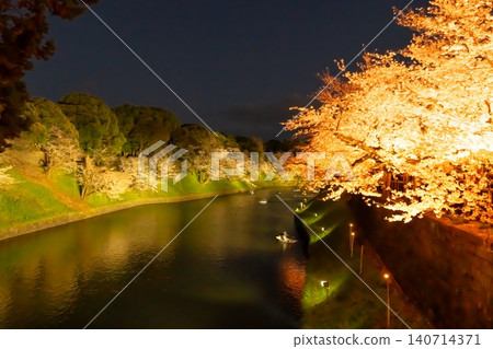 Cherry blossoms in full bloom illuminated at night in Chidorigafuchi, Tokyo. Cherry blossoms in full bloom illuminated at night in Chidorigafuchi, Tokyo. 140714371