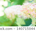 雨後的繡球花田 140715044