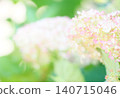 雨後的繡球花田 140715046