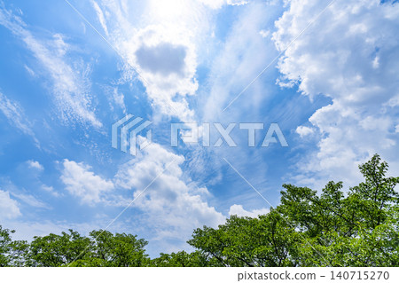 Early summer blue sky, clouds, and trees Early summer blue sky, clouds, and trees 140715270