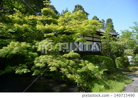 Jishi-in Temple, Daruma Hall in the fresh greenery, Nanzenji Fukuchi-cho, Sakyo-ku, Kyoto City Jishi-in Temple, Daruma Hall in the fresh greenery, Nanzenji Fukuchi-cho, Sakyo-ku, Kyoto City 140715490