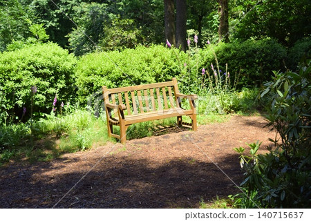 Bench in the park Bench in the park 140715637