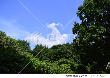 Scenery in Gunma Park Scenery in Gunma Park 140715638