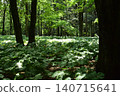 Scenery in Gunma Park 140715641