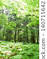 Scenery in Gunma Park 140715642