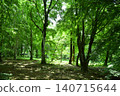 Scenery in Gunma Park 140715644