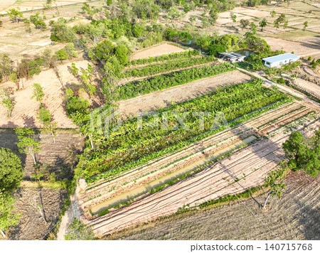 Sustainable mixed farming system with banana plantation, vegetable plots, and rural homestead. Regenerative agriculture, food security and land management. Biodiversity and climate resilience. Sustainable mixed farming system with banana plantation, vegetable plots, and rural homestead. Regenerative agriculture, food security and land management. Biodiversity and climate resilience. 140715768