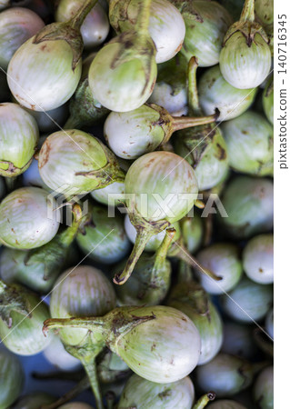 Pile Of Fresh Thai Eggplants At The Market, Beautiful natural harvest for agricultural documentary, organic food conservation campaign, local market lifestyle and raw vegetable nutrition scenery. Pile Of Fresh Thai Eggplants At The Market, Beautiful natural harvest for agricultural documentary, organic food conservation campaign, local market lifestyle and raw vegetable nutrition scenery. 140716345