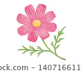Cute pink cosmos 140716611