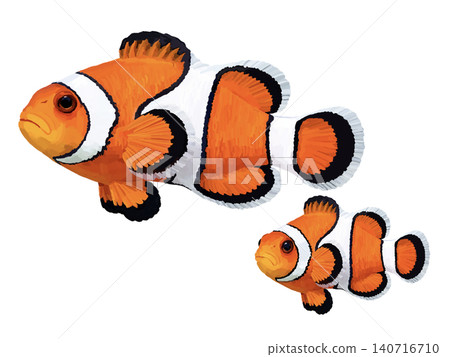 Clownfish (2 fish) 140716710