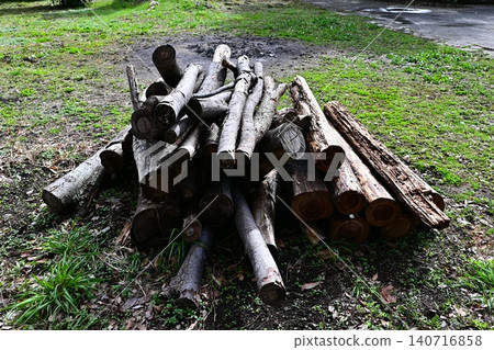 Stacked logs for firewood Stacked logs for firewood 140716858