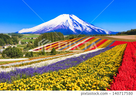 The breathtaking scenery of Biei's beautiful flower fields The breathtaking scenery of Biei's beautiful flower fields 140717580