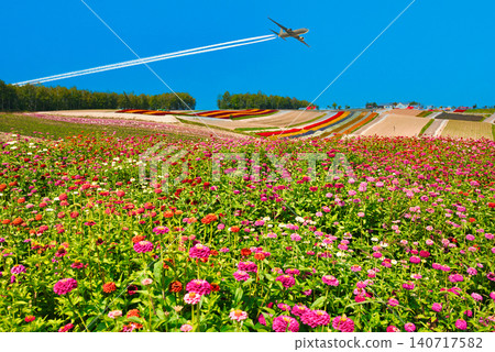 The breathtaking scenery of Biei's beautiful flower fields The breathtaking scenery of Biei's beautiful flower fields 140717582