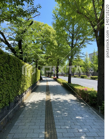 The sidewalk and street trees in front of the National Diet Building in Tokyo create a beautiful urban landscape with fresh greenery. The sidewalk and street trees in front of the National Diet Building in Tokyo create a beautiful urban landscape with fresh greenery. 140718220