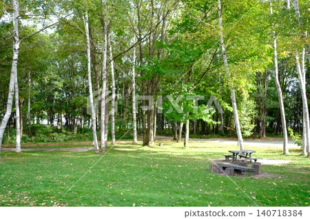 A small bench in the woods A small bench in the woods 140718384