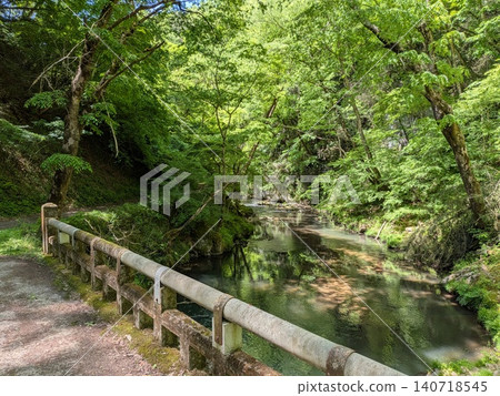 The beautiful fresh greenery and clear stream of Taishakukyo Gorge in Hiroshima Prefecture, and the scenery of the walking path leading to Oohashi Bridge. The beautiful fresh greenery and clear stream of Taishakukyo Gorge in Hiroshima Prefecture, and the scenery of the walking path leading to Oohashi Bridge. 140718545