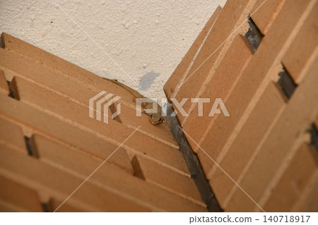 Southern Gecko 6 Southern Gecko 6 140718917
