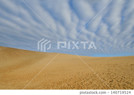 Tottori sand dunes Tottori sand dunes 140719524
