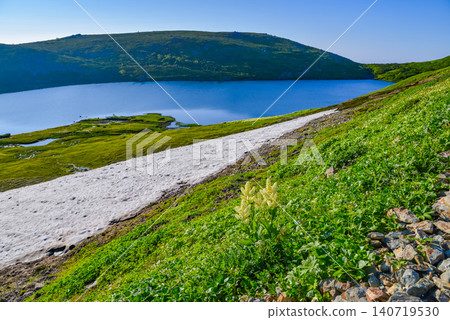 夏日清晨的陽光灑在白馬禦池湖和白馬乘鞍山上，波光粼粼，前景是假嚏根草，遠處還有殘雪。 140719530