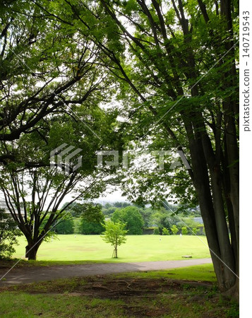 和光壽林公園的初夏 和光壽林公園的初夏 140719543