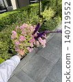 Hand holding fresh flower bouquet photo with pink and purple blossoms near garden and sidewalk, natural summer floral arrangement for lifestyle, outdoor, gardening, florist and seasonal design 140719552