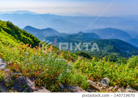 在晴朗的夏日,以北阿爾卑斯山脈和白馬山脈為背景,近距離拍攝了盛開的日本銀蓮花(Anaphalis margaritacea)的花朵底部。 在晴朗的夏日,以北阿爾卑斯山脈和白馬山脈為背景,近距離拍攝了盛開的日本銀蓮花(Anaphalis margaritacea)的花朵底部。 140719670