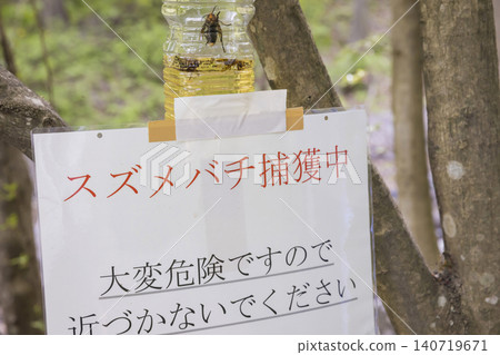 Hornet trap image 140719671