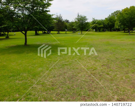 Early summer at Wakō Jūrin Park 140719722