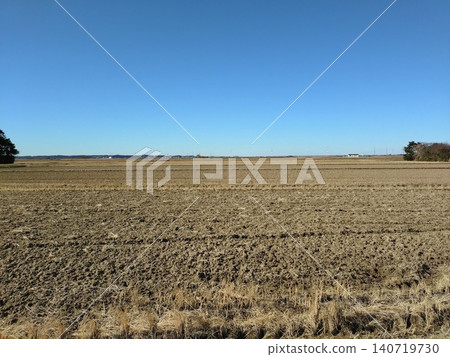 Winter rice field 140719730