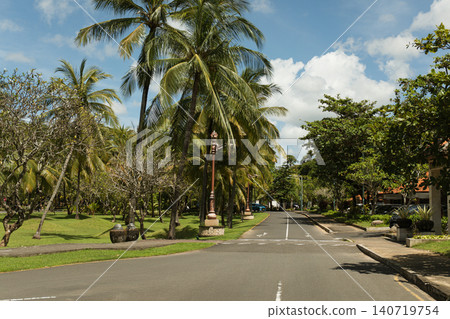 Lush palm trees create a serene atmosphere along a quiet road Lush palm trees create a serene atmosphere along a quiet road 140719754