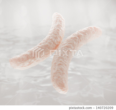 Pink X chromosome structure floating in clear liquid texture. Microscopic 3D background, sex determination system. Biotech, DNA skincare product, cell repair science and cosmetics. 3D illustration Pink X chromosome structure floating in clear liquid texture. Microscopic 3D background, sex determination system. Biotech, DNA skincare product, cell repair science and cosmetics. 3D illustration 140720209