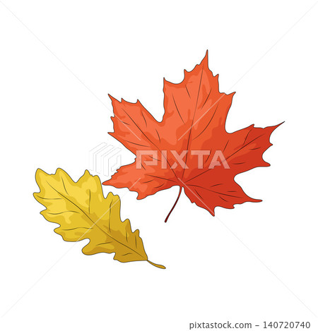 Illustration of Autumn Leaf 140720740
