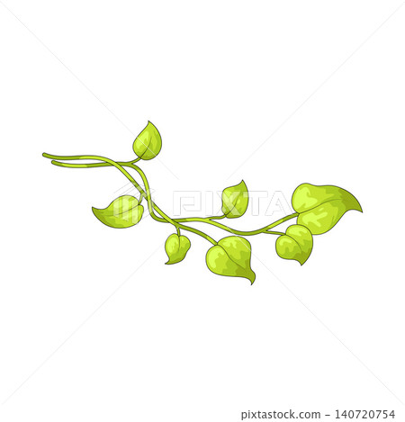 Illustration of Vine Leaf Illustration of Vine Leaf 140720754
