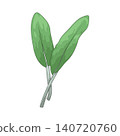Illustration of Sage Leaf 140720760