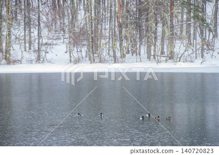 Mishaka Pond in winter, Chino City, Nagano Prefecture Mishaka Pond in winter, Chino City, Nagano Prefecture 140720823
