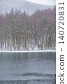 Mishaka Pond in winter, Chino City, Nagano Prefecture 140720831