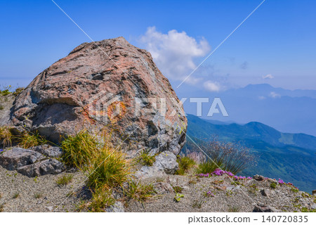 A clear summer day, a large rock marked with paint indicating the hiking trail to Mt. Hakuba, and a scene of thyme blooming at its base. 140720835