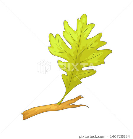 Illustration of Leaf Illustration of Leaf 140720934