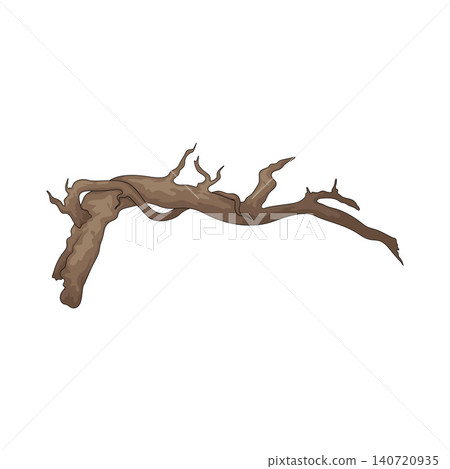 Illustration of Branch Illustration of Branch 140720935