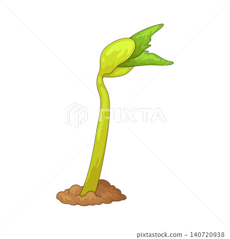 Illustration of Sprout Illustration of Sprout 140720938