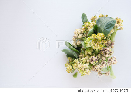 新鮮採摘的菜花 140721075