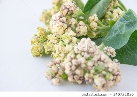 新鮮採摘的菜花 新鮮採摘的菜花 140721086