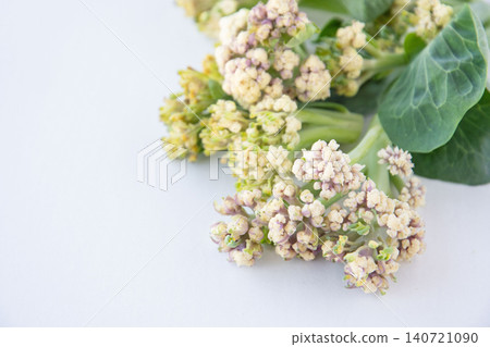 新鮮採摘的菜花 140721090