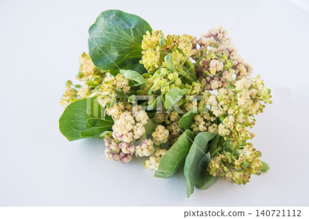 新鮮採摘的菜花 新鮮採摘的菜花 140721112