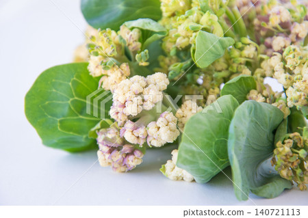 新鮮採摘的菜花 新鮮採摘的菜花 140721113