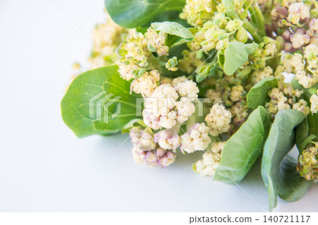 新鮮採摘的菜花 新鮮採摘的菜花 140721117