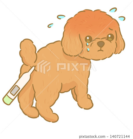 一幅用體溫計測量狗體溫的插圖;這隻狗正在接受直腸溫度測量,並且發燒了。 一幅用體溫計測量狗體溫的插圖;這隻狗正在接受直腸溫度測量,並且發燒了。 140721144
